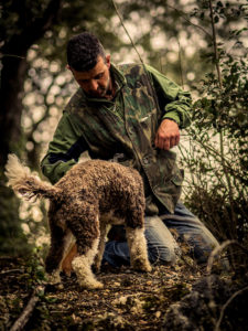 Alessandro di Siena Tartufi nel bosco con Moka durante un truffle hunting - foto di Marco Cheli