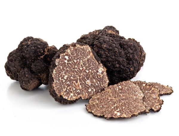 Tartufo fresco nero uncinato | Siena Tartufi